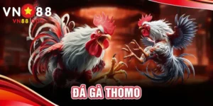 đá gà thomo thumb